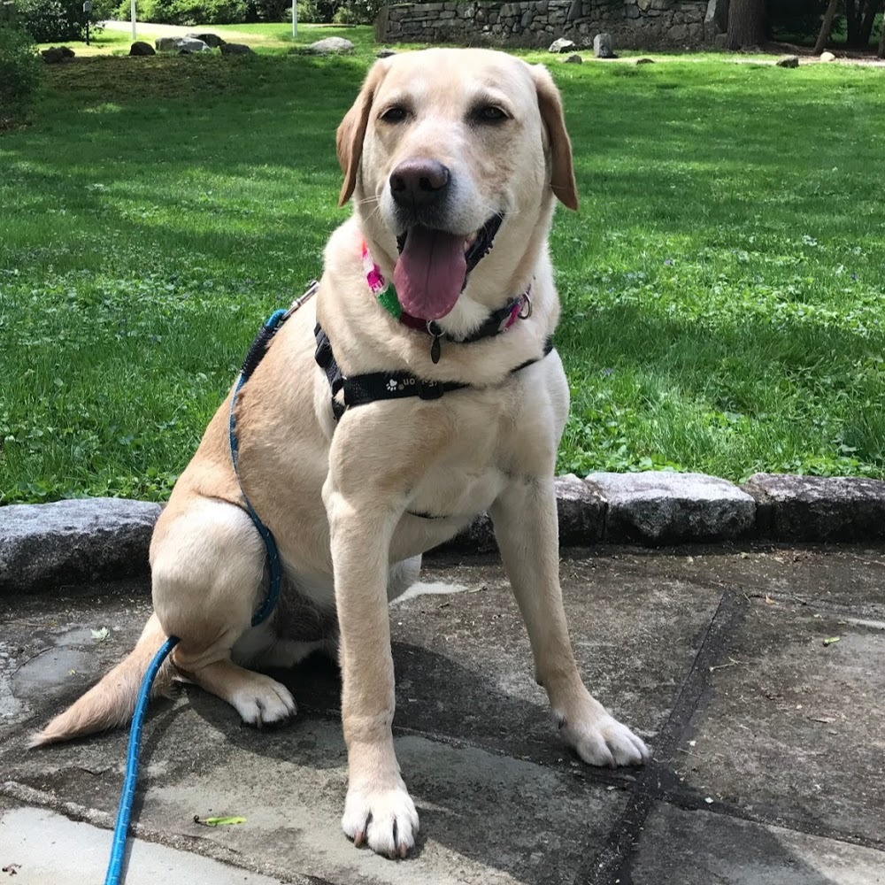 Meet your Posher, Chloe